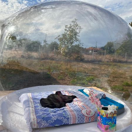 Caravans 10 Min To Tsonevo Lake & 35 Min To Black Sea Buitenkant foto