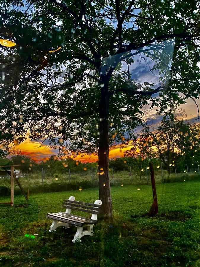 Caravans 10 Min To Tsonevo Lake & 35 Min To Black Sea Buitenkant foto